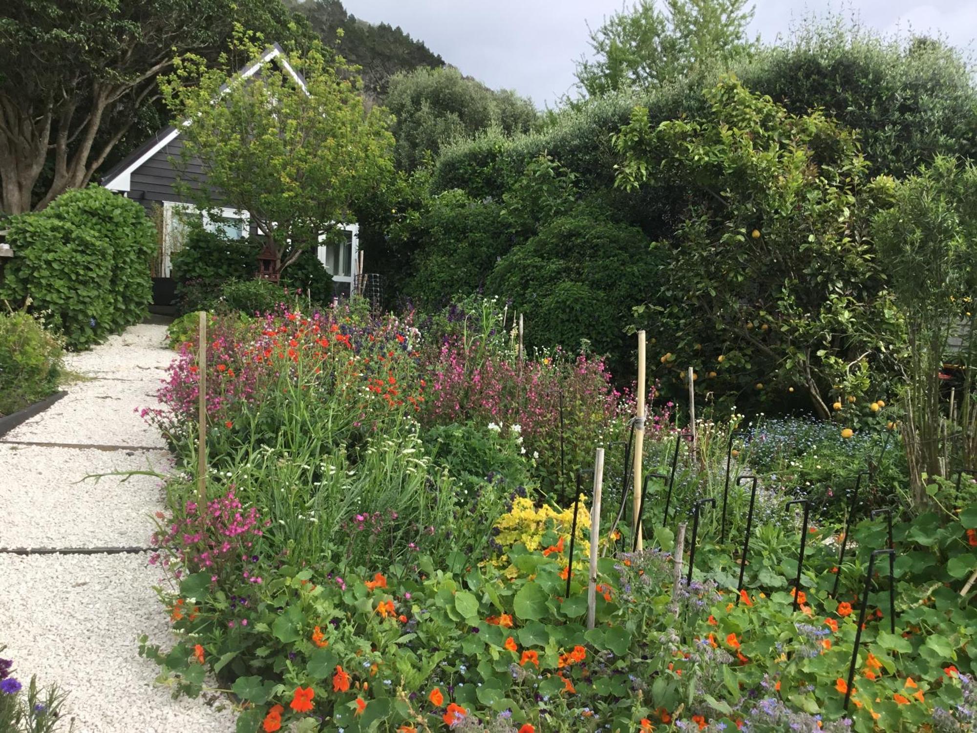 Hahei Kereru Cottage Εξωτερικό φωτογραφία