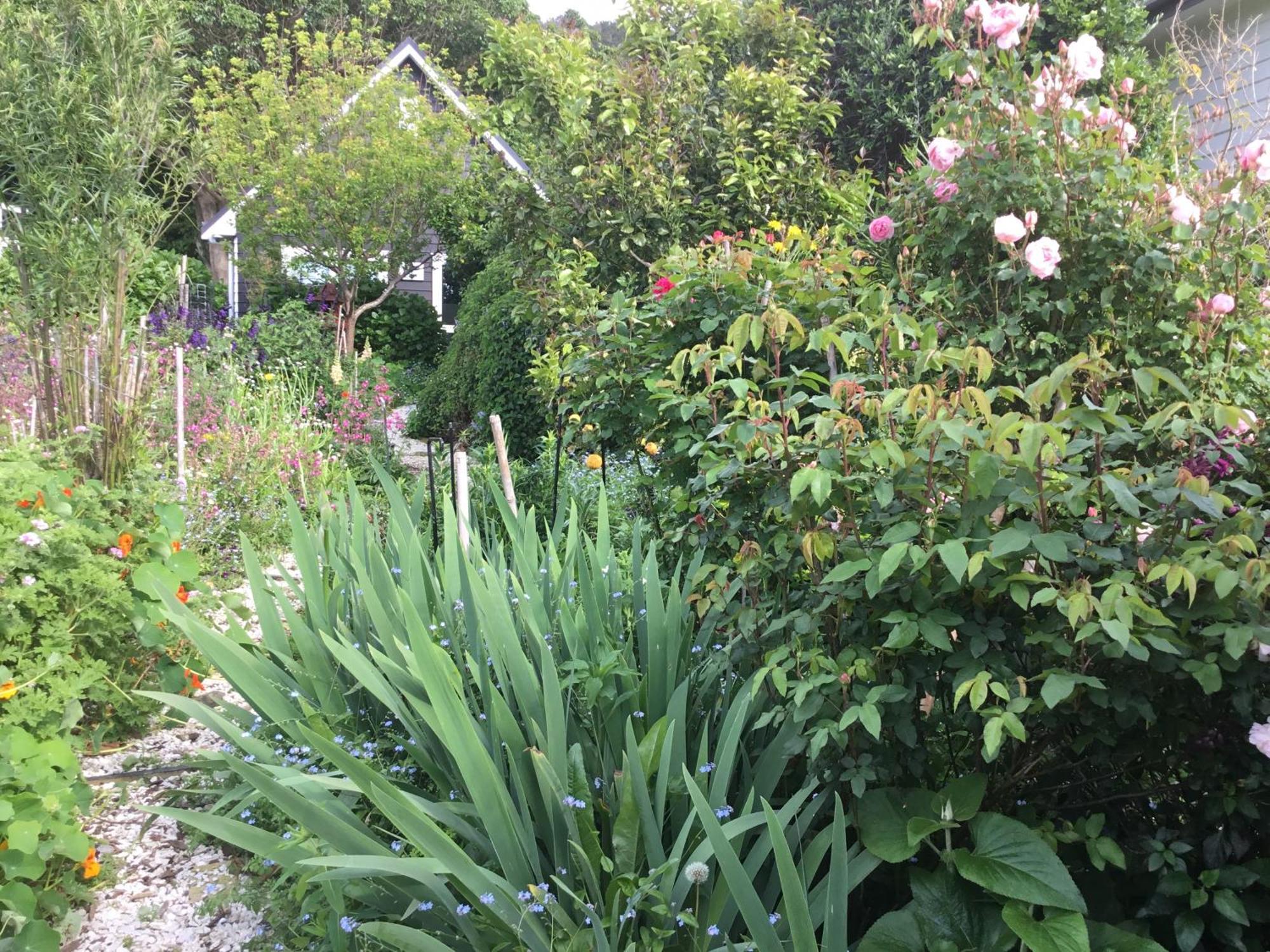 Hahei Kereru Cottage Εξωτερικό φωτογραφία